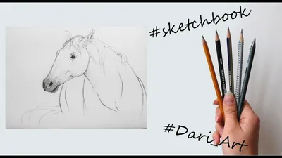 Как рисовать лошадь. Уроки рисования лошади. Конь, рисунок карандашом