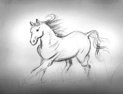 Рисуем скетчи! Как нарисовать лошадь простым карандашом! #Dari_Art - YouTube