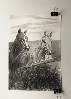 Рисунки для срисовки карандашом лошади — Стихи, картинки и любовь