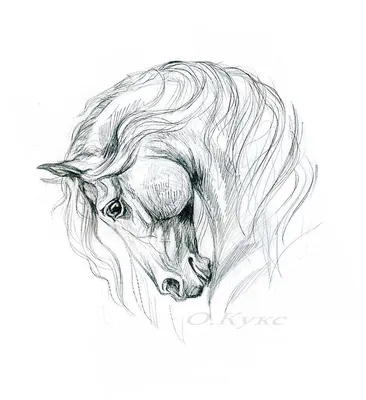 Анжела Карпова - Лошадь в подсолнухах рисунок карандашом а5, XXI: Описание  произведения | Артхив