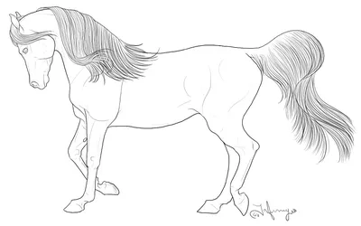 Лошадь простой рисунок карандашом» — создано в Шедевруме