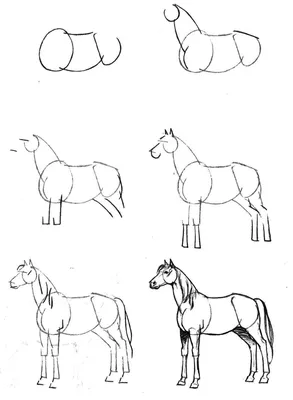 Рисунки лошадей для срисовки (100 фото) • Прикольные картинки и позитив