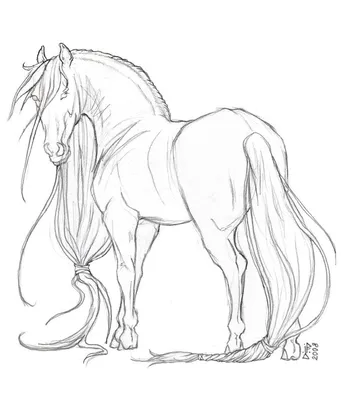 Рисунок лошади простым карандашом | Пикабу