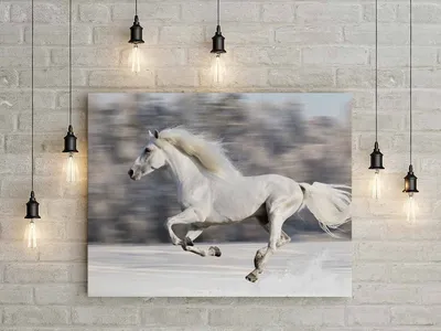 Купить картина по номерам ВанГогВоМне Лошади зимой, 40x50, цены на  Мегамаркет | Артикул: 600001086058