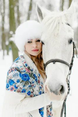 Лошадь Снег Зима - Бесплатное фото на Pixabay - Pixabay