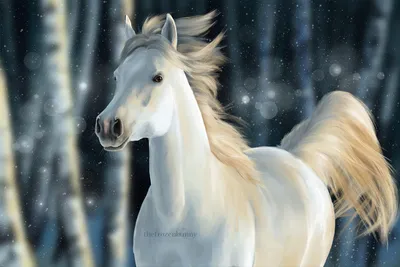 Картинки лошади, кони, животные, ограда, природа, снег, зима, снежинки -  обои 1366x768, картинка №72232