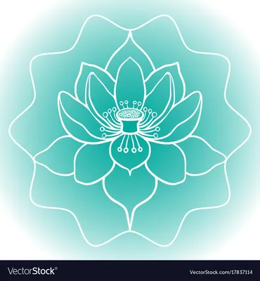 Цветок лотос. Рассмотрим, как выглядит белый лотос. Lotus flower - YouTube