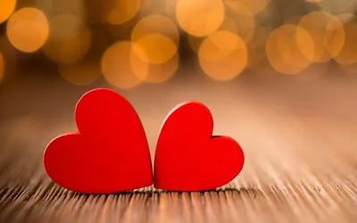 Love, Actually: The science behind lust, attraction, and companionship -  Science in the News