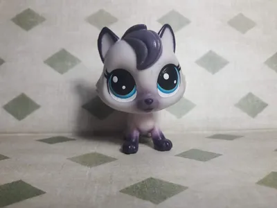 Hasbro Pet Shop LPS Милая версия Q имитация мини животных орнамент аниме  куклы Коллекция украшений подарок для детей | AliExpress