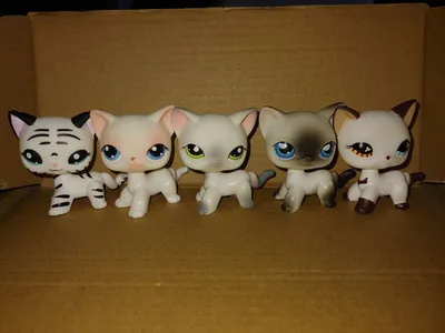Игровой набор с куклой-Детские игрушки в зоомагазине LPS CAT 10 шт. -  купить с доставкой по выгодным ценам в интернет-магазине OZON (895043439)