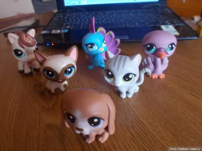 Lps #2386, #1498 кошки из коллекции Littlest pet shop. - 300 грн, купить на  ИЗИ (8002539)