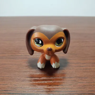 Littlest Pet Shop такса Саванна LPS – купить в Зеленограде, цена 600 руб.,  продано 10 марта 2018 – Игрушки и игры