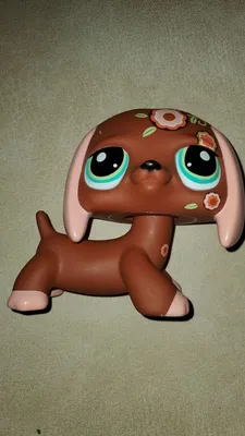 Купить LPS такса #909 ФИГУРКА Littlest Pet Shop из ПОЛЬШИ: отзывы, фото и  характеристики на Aredi.ru (10228396270)