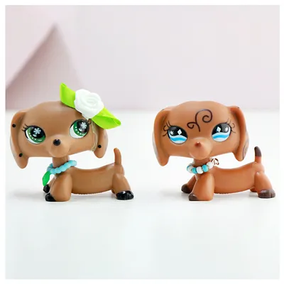 Купить Фигурки такс LPS Littlest Pet Shop PL 24h!: отзывы, фото и  характеристики на Aredi.ru (10412950796)