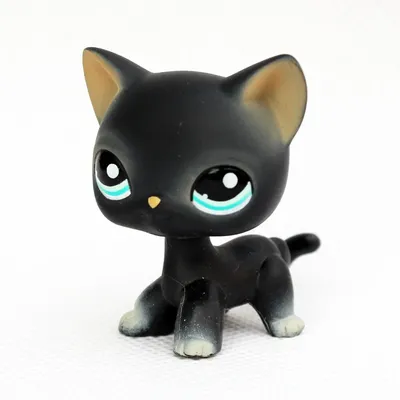 Littlest Pet Shop Blythe Loves Littlest Pet Shop Cat Shorthair (#2249) Pet  | LPS Merch