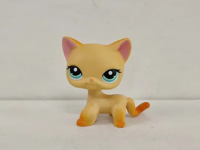 Littlest Pet Shop Small Playset Cat Shorthair (#2094) Pet | LPS Merch