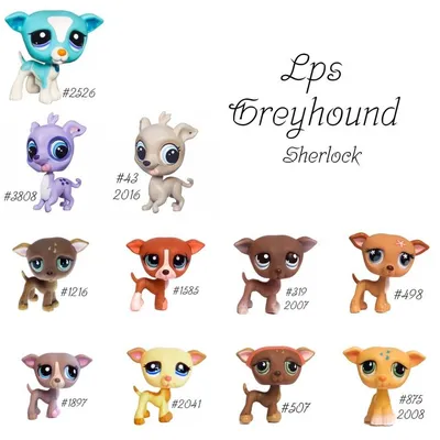 LPS Number 11 | Littlest pet shop collector's Wiki | Fandom