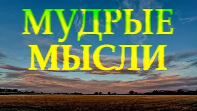 30 мудрых цитат о жизни, людях со смыслом Любимые цитаты на каждый день |  Глоток Мотивации | Дзен