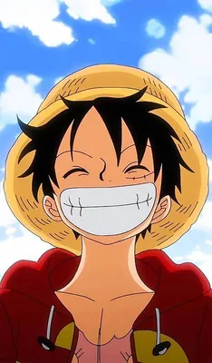 https://www.figpin.com/products/monkey-d-luffy-964
