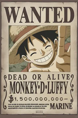 Luffy anime one piece 21857990 Vector Art at Vecteezy