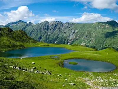 Где в России можно увидеть альпийские луга? | По Кубани и Кавказу | Дзен