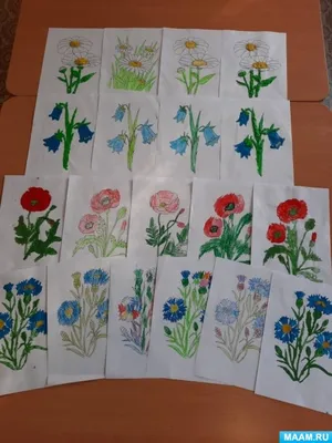 Раскраски цветов для маленьких детей. Раскраски для детей. Полевые и луговые  цветы | Детские раскраски, Раскраски, Полевые цветы