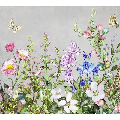 Белые луговые цветы с длинными пестиками - 60 фото