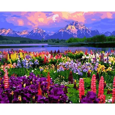 Больше 900 бесплатных фотографий на тему «Луговые Цветы» и «»Природа -  Pixabay