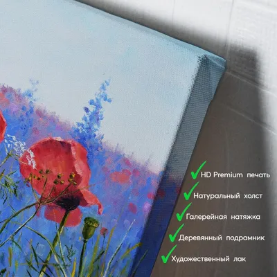 Картина по номерам Полевые цветы, Babylon, VP1253 - описание, отзывы,  продажа | CultMall