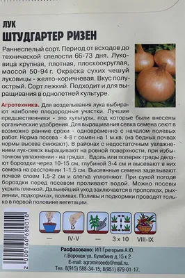 Лук Репчатый Штутгартер Ризен 1,5 гр. купить оптом в Томске по цене 28,64  руб.