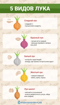 Как хранить лук – блог интернет-магазина Порядок.ру