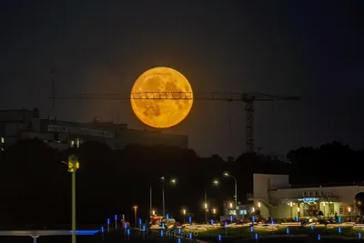 Голубая луна взошла над миром: фото самого большого суперлуния 2023 года -  31.08.2023, Sputnik Беларусь