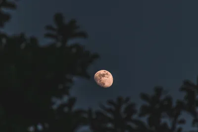 Что такое Голубая Луна, которая появится в небе над Москвой 31 августа, где  ее увидеть, как посмотреть и что значит суперлуние, чем оно отличается от  полнолуния - 29 августа 2023 - msk1.ru