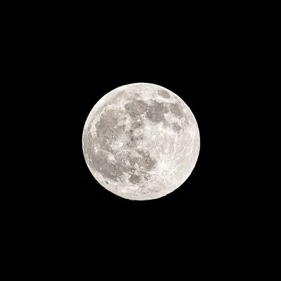 Огромная Луна взойдет сегодня над Хабаровском — Новости Хабаровска