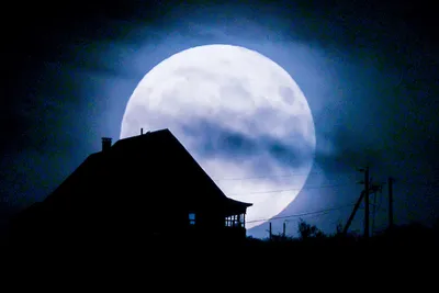 В одном из дворов в центре Петербурга появилась огромная луна | ОБЩЕСТВО |  АиФ Санкт-Петербург