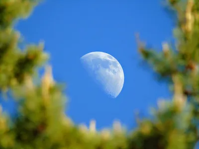 Голубая луна — 2023: когда смотреть суперлуние 31 августа и что сулит  голубая луна | 360°