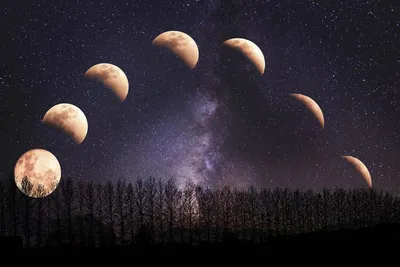 Лунное затмение 5 июня 2020 года: что можно делать и что нельзя -  AmurMedia.ru