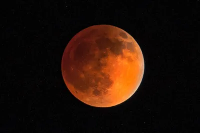 Полное лунное затмение будет видно по всей стране в следующий вторник |  Slavic Family Media Center | Radio Slavic Family | Portland Community Radio