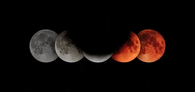 Лунное затмение 8 ноября 2022 – когда и где можно увидеть кровавую луну —  08.11.2022 — Статьи на РЕН ТВ