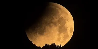 Лунное затмение 19 ноября 2021: когда наступит, где можно увидеть |  17.11.2021 | Томск - БезФормата