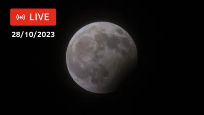 Что такое лунное затмение и чем оно отличается от новолуния? | ПОЧЁМ ФУНТ  LIHA? | Дзен