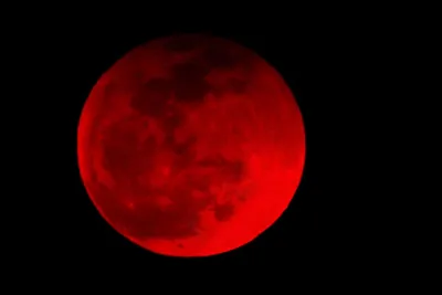 Россияне увидят самое продолжительное за 500 лет лунное затмение - РИА  Новости, 18.11.2021