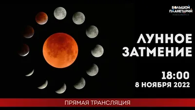 Лунное затмение 28 октября 2023 – лунное затмение в Украине – лунное  затмение в Киеве – фото и видео | OBOZ.UA