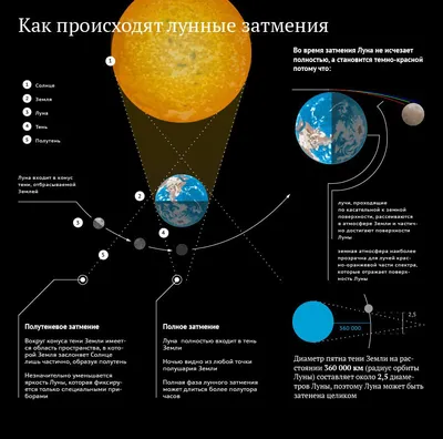 Лунное затмение в прямом эфире | Euronews