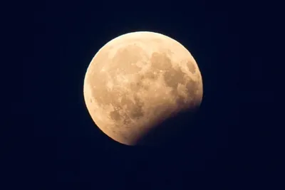 Лунное затмение 19 ноября 2021 года: что нельзя делать в это время