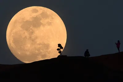 Лунное затмение 28 октября 2023 года: что нас ждет