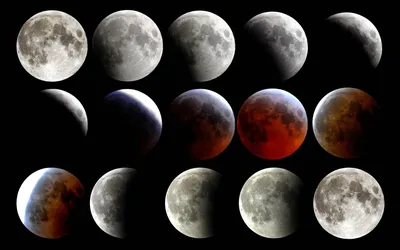 Лунное затмение луны крови секторов лунного затмения составное Стоковое  Фото - изображение насчитывающей созвездие, спутник: 196630366