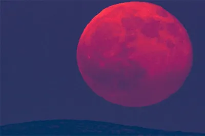 Роскосмос\" показал самое долгое за пять веков лунное затмение | Комиинформ