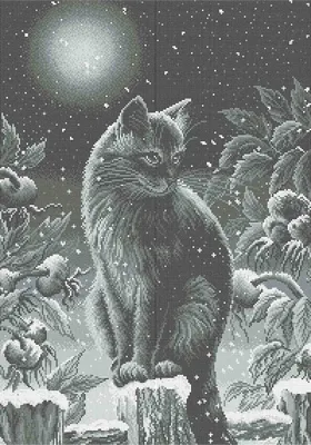 Купити Лунный кот на фоне звездного неба. Акрил | Skrynya.ua