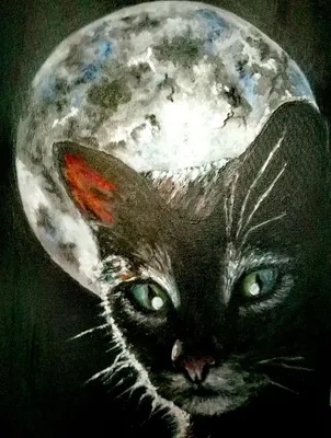 Лурик – лунный кот, Елена Львовна Аушева – скачать книгу fb2, epub, pdf на  ЛитРес
